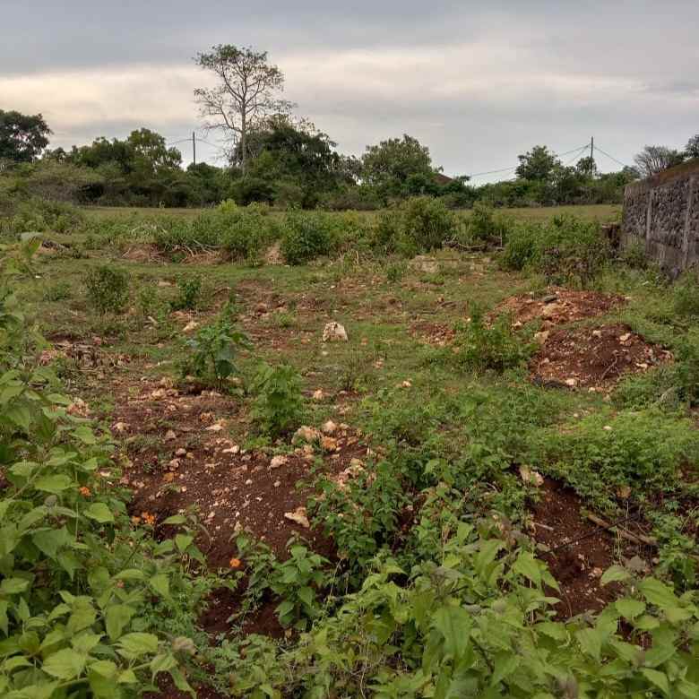 dijual tanah poltek stp bali