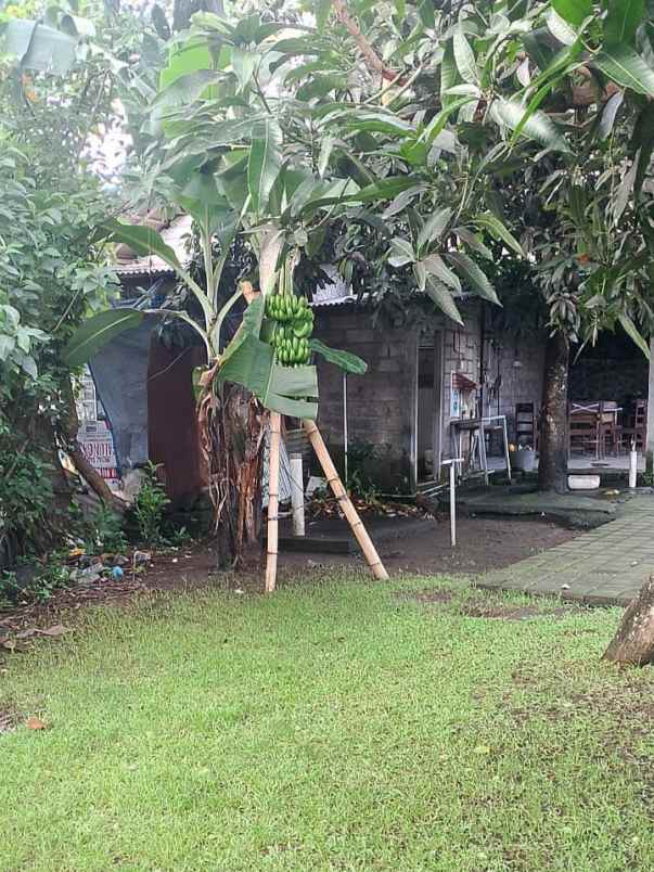 dijual tanah poltek stp bali