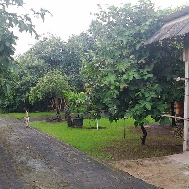 dijual tanah poltek stp bali
