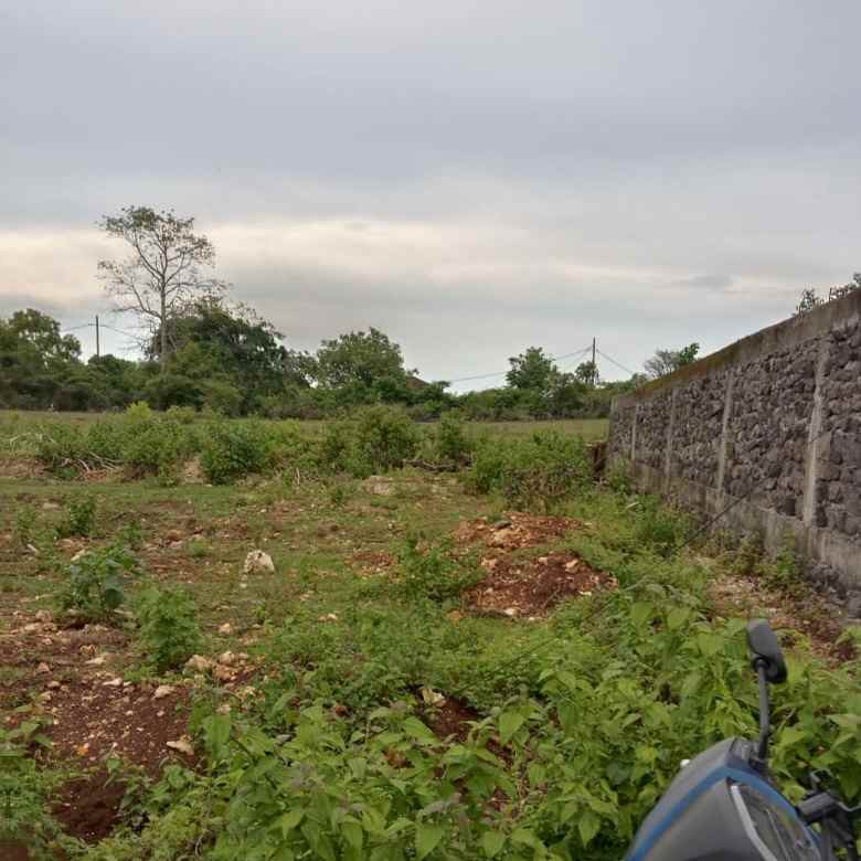 dijual tanah poltek stp bali