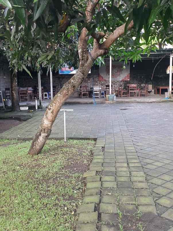 dijual tanah poltek stp bali