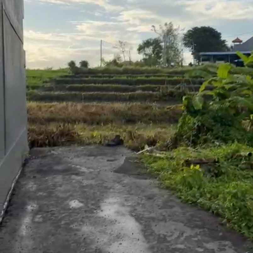 dijual tanah raya munggu kapal