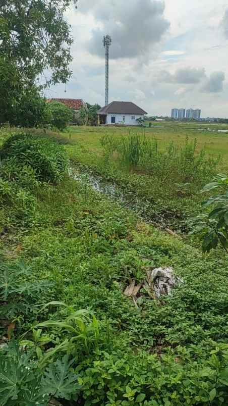 dijual tanah rorotan