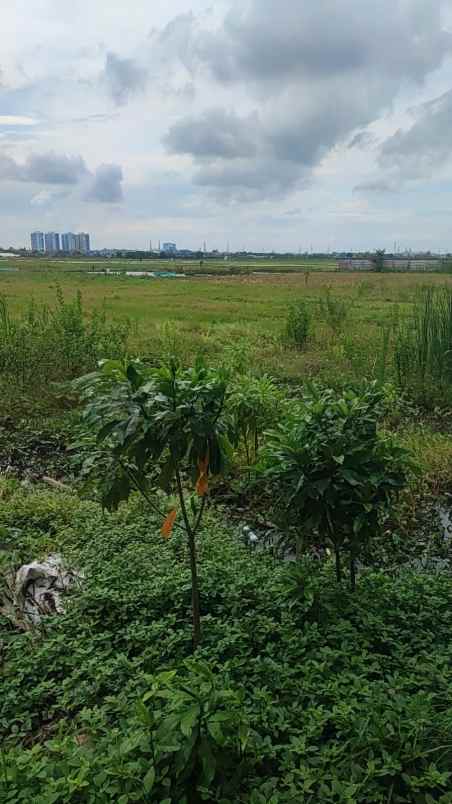 dijual tanah rorotan