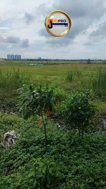 dijual tanah rorotan