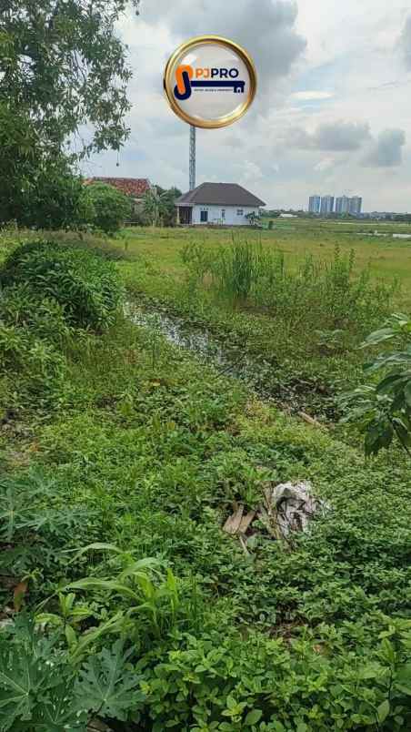 dijual tanah rorotan