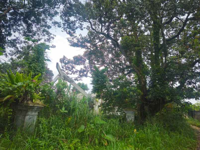dijual tanah royal tajur sinar mas land