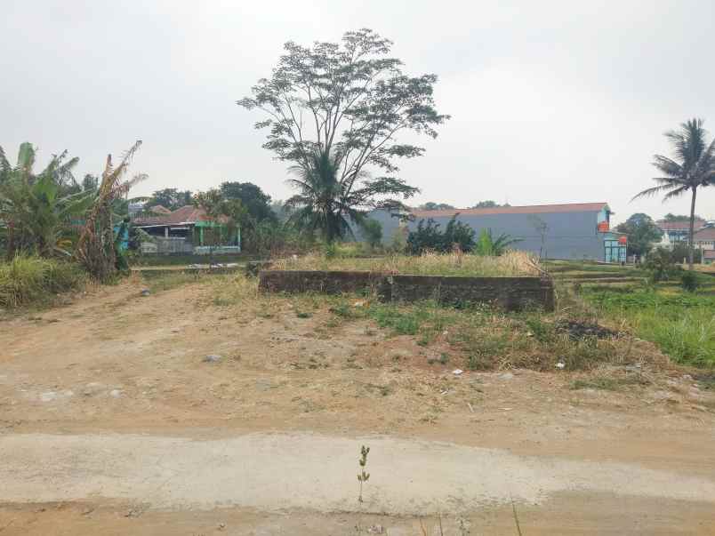 dijual tanah sampora caracas