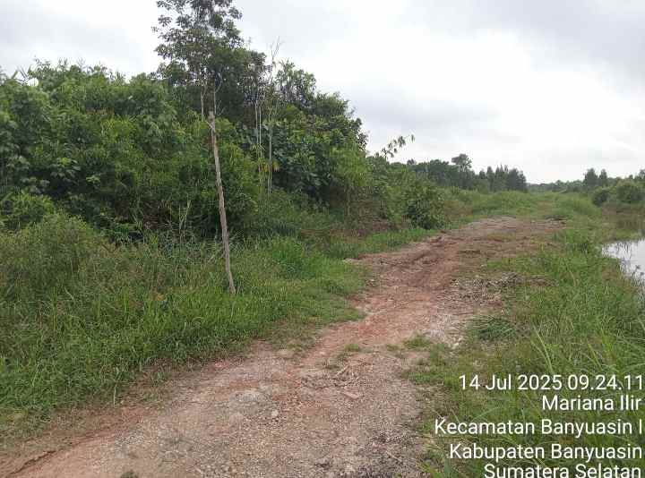 dijual tanah sematang borang