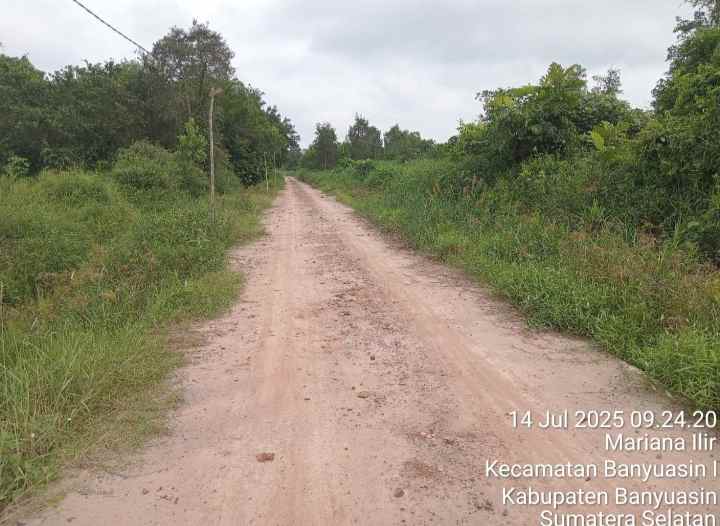 dijual tanah sematang borang