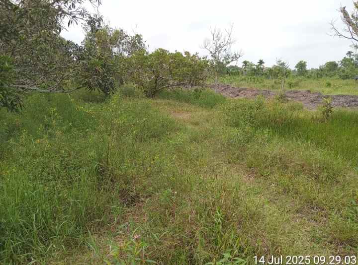 dijual tanah sematang borang