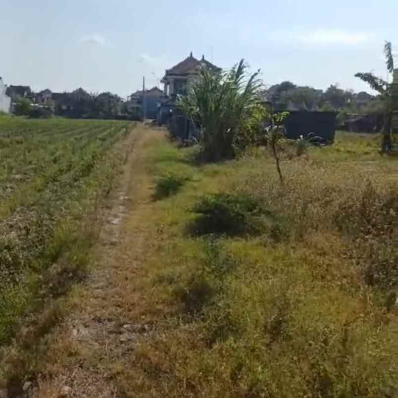 dijual tanah sidakaya