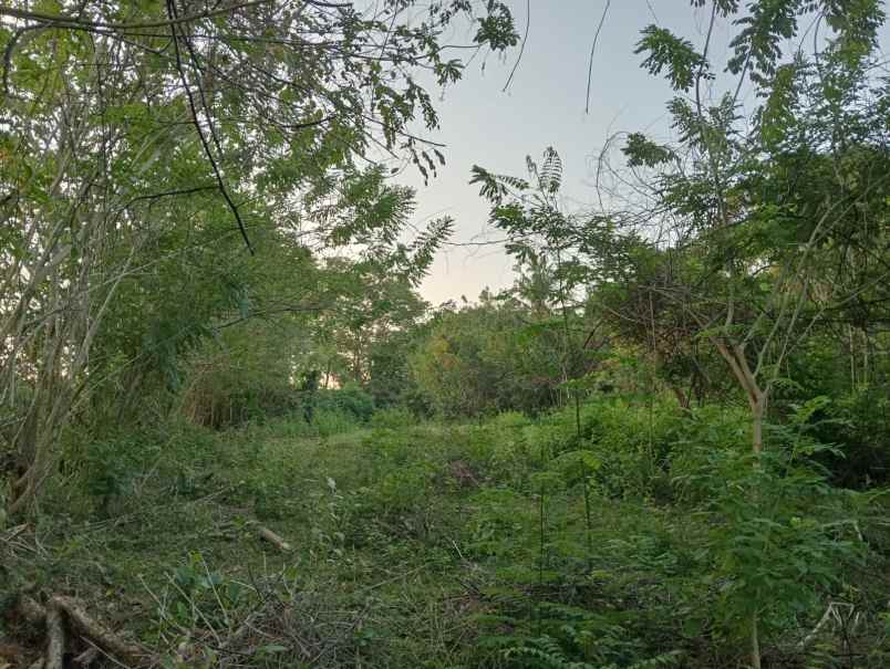 dijual tanah soan galuh beach