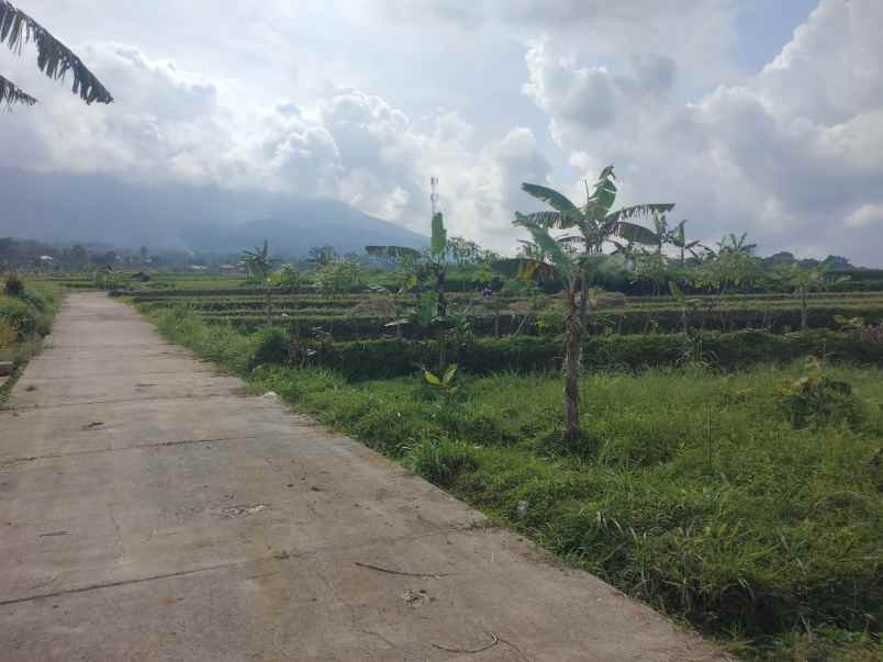 dijual tanah strategis view gunung