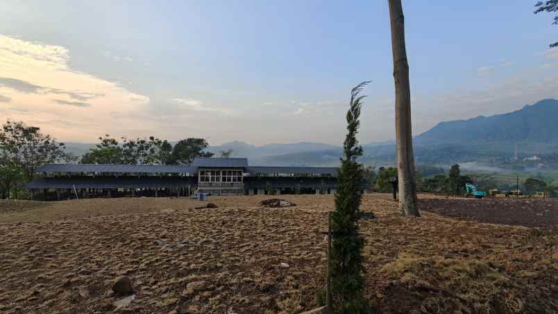 dijual tanah sukamakmur bogor