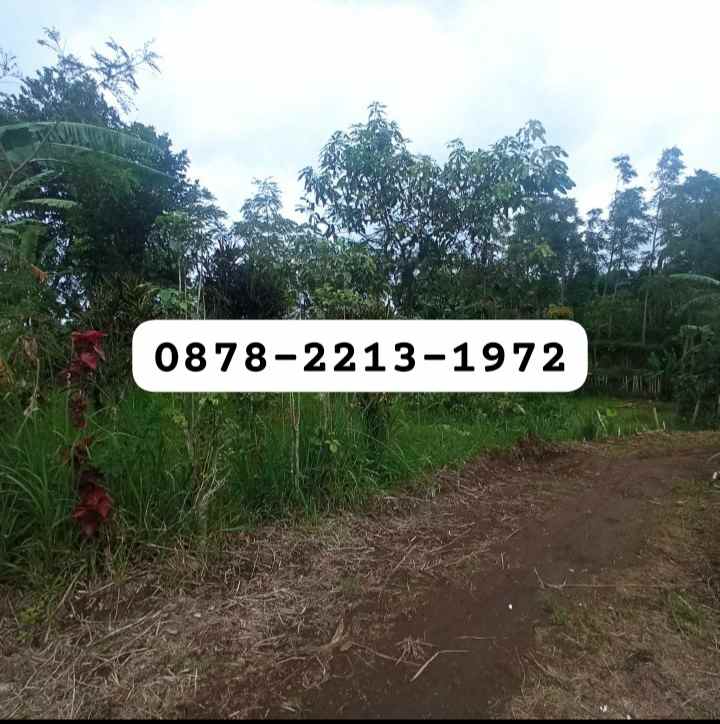 dijual tanah tugulaksana punclut
