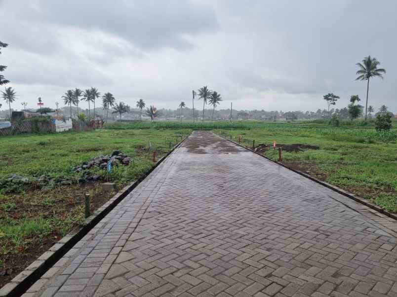 dijual tanah wonomulyo