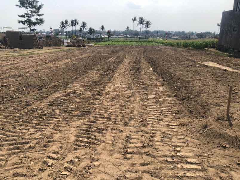 dijual tanah wonomulyo