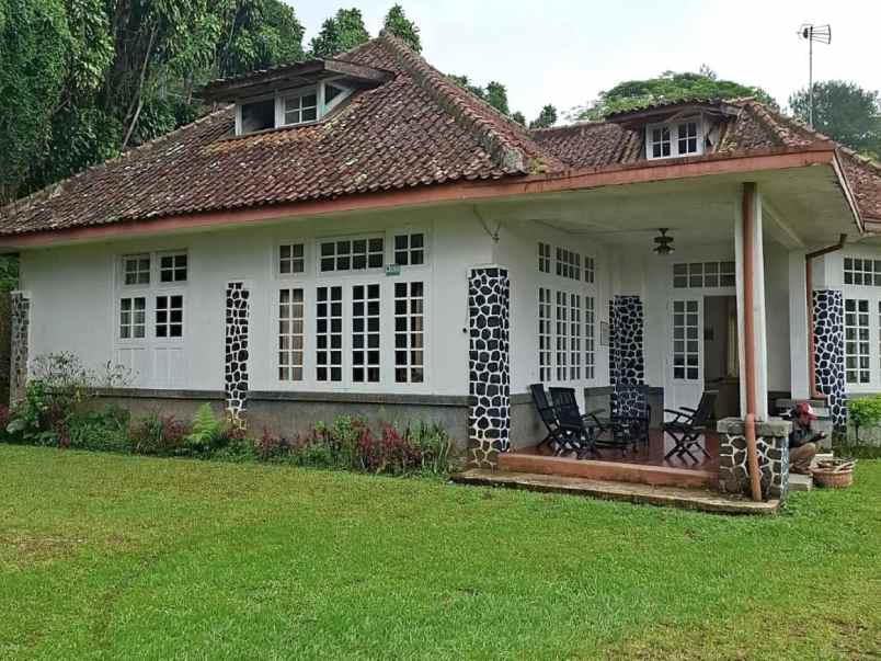 dijual villa jalan raya puncak cisarua