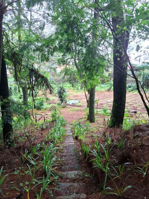 dijual villa jalan raya puncak cisarua