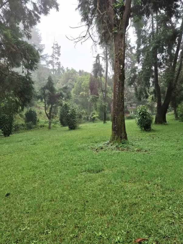 dijual villa jalan raya puncak cisarua