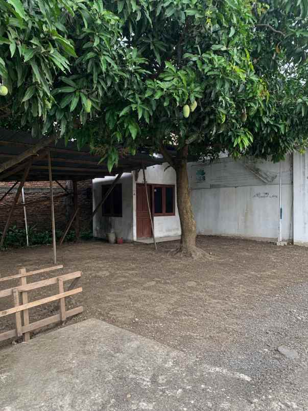 disewakan ruko gudang kantor kuripan karangawen