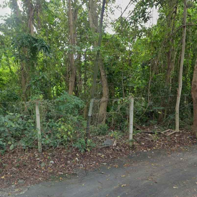 disewakan tanah kesiman kerthalangu