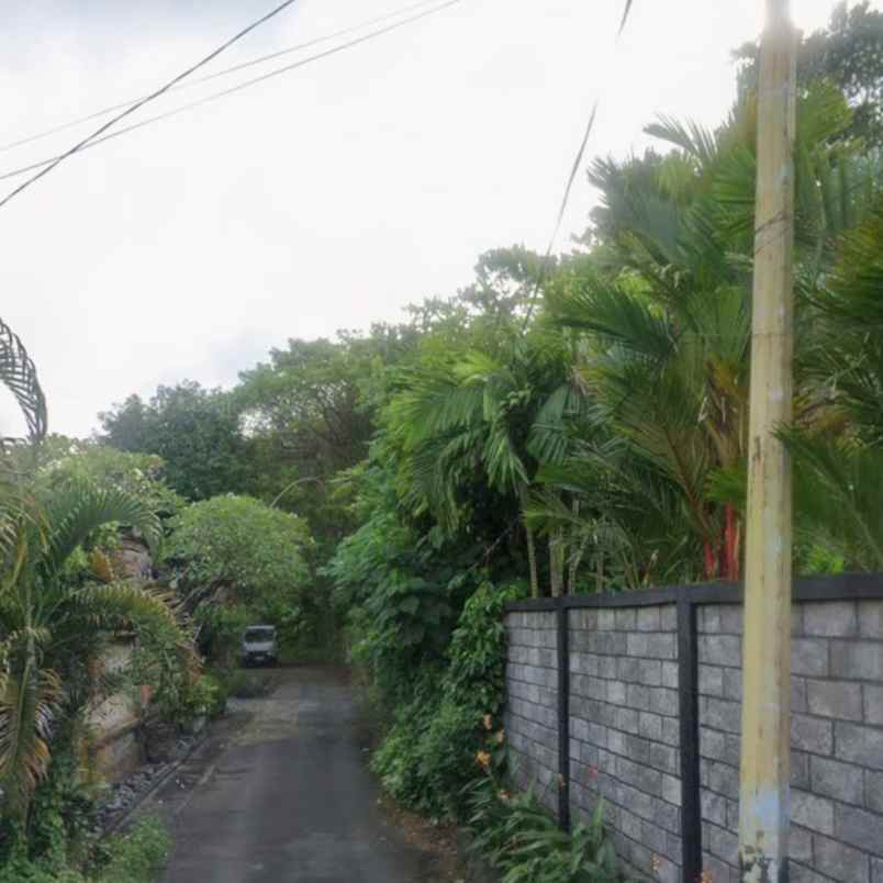 disewakan tanah kesiman kerthalangu