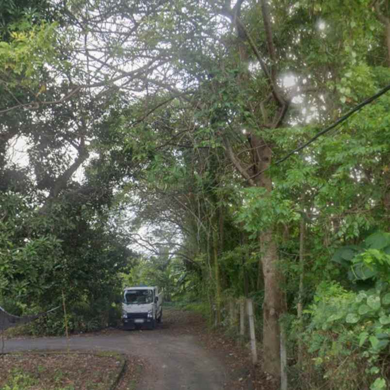 disewakan tanah kesiman kerthalangu