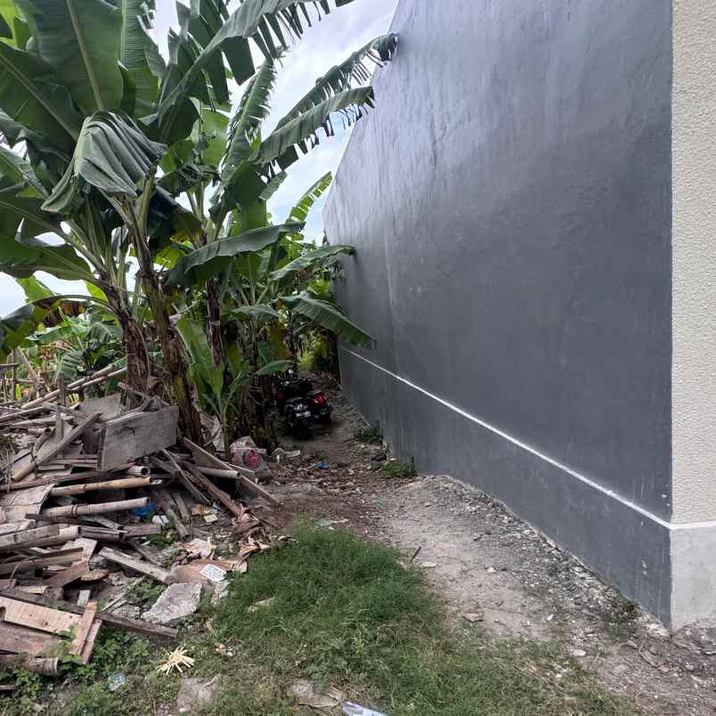 disewakan tanah raya dawas padonan