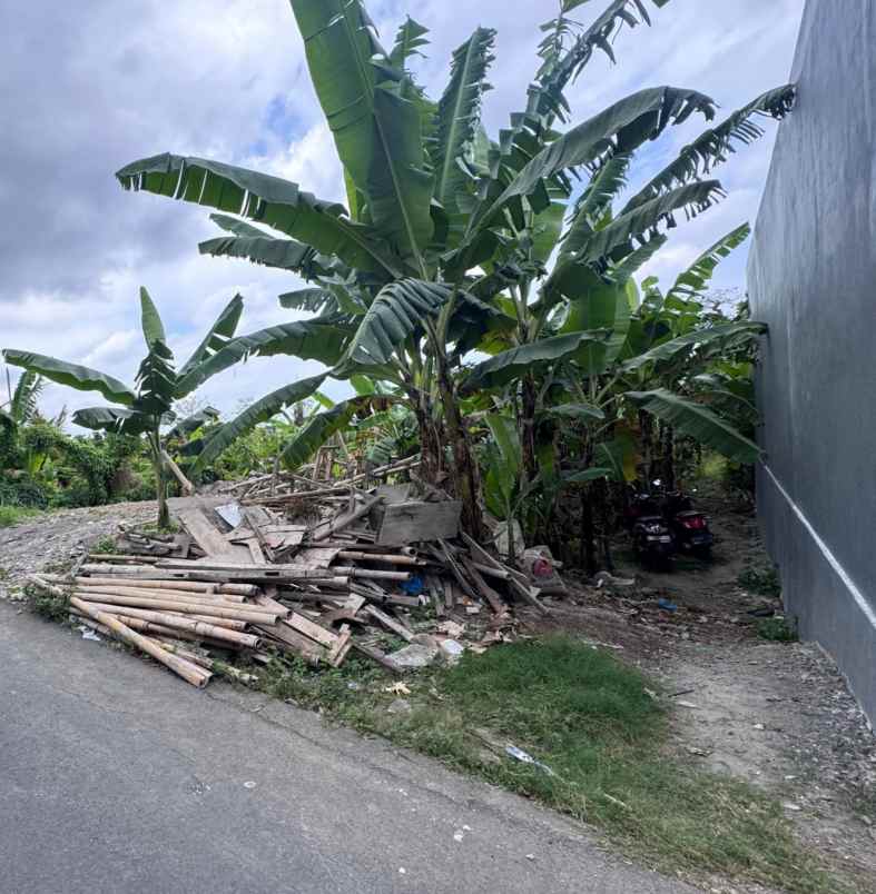 disewakan tanah raya dawas padonan