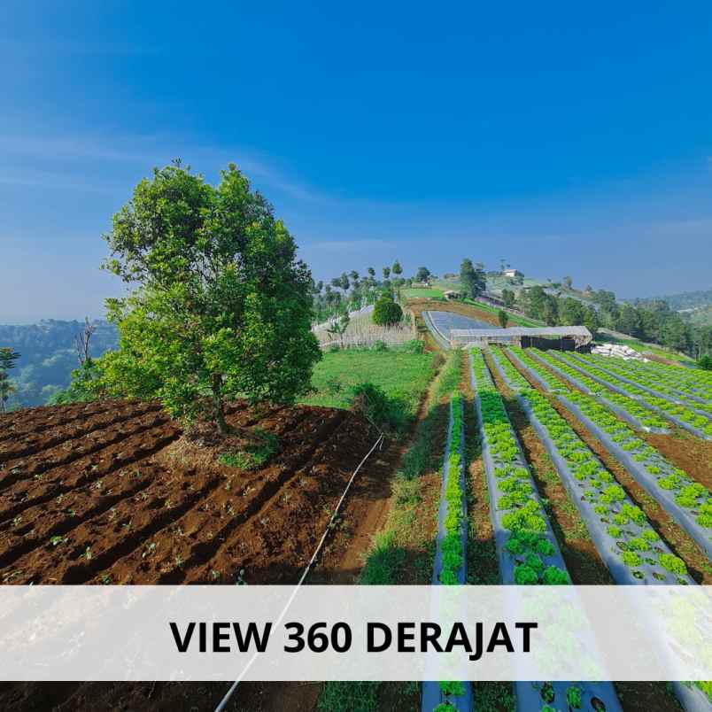 jual kavling tanah murah dekat stasiun kereta cepat
