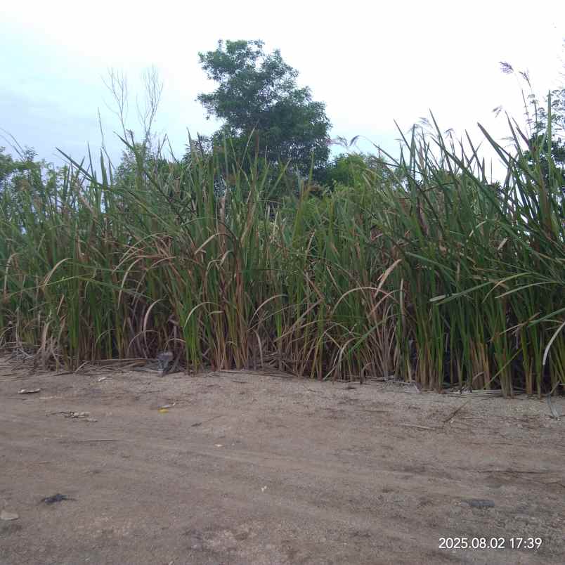 jual lahan di tpa karya jaya musi ii palembang