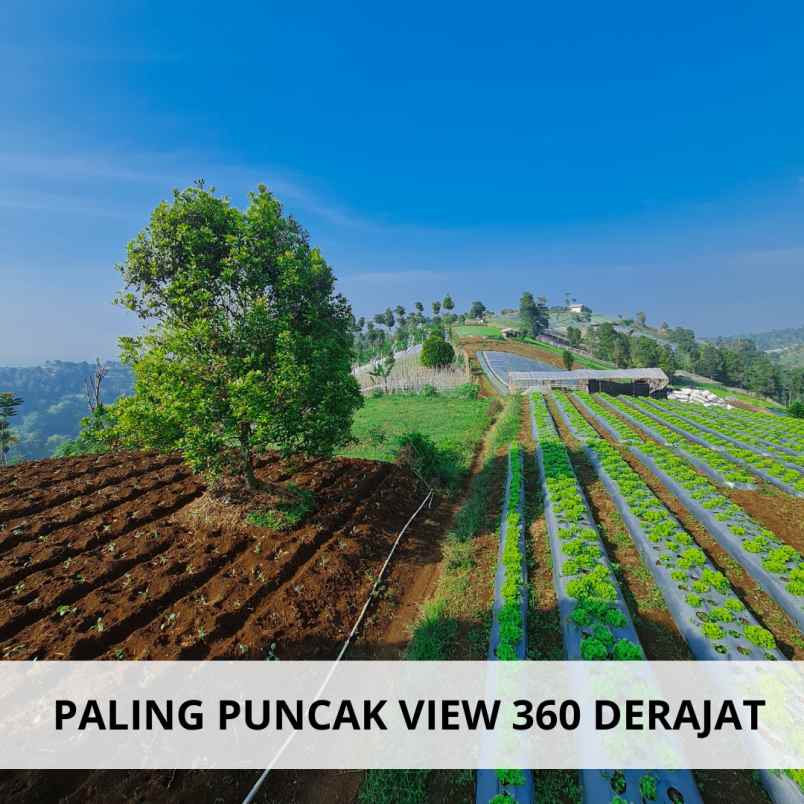 jual tanah di bandung dekat stasiun kereta cepat