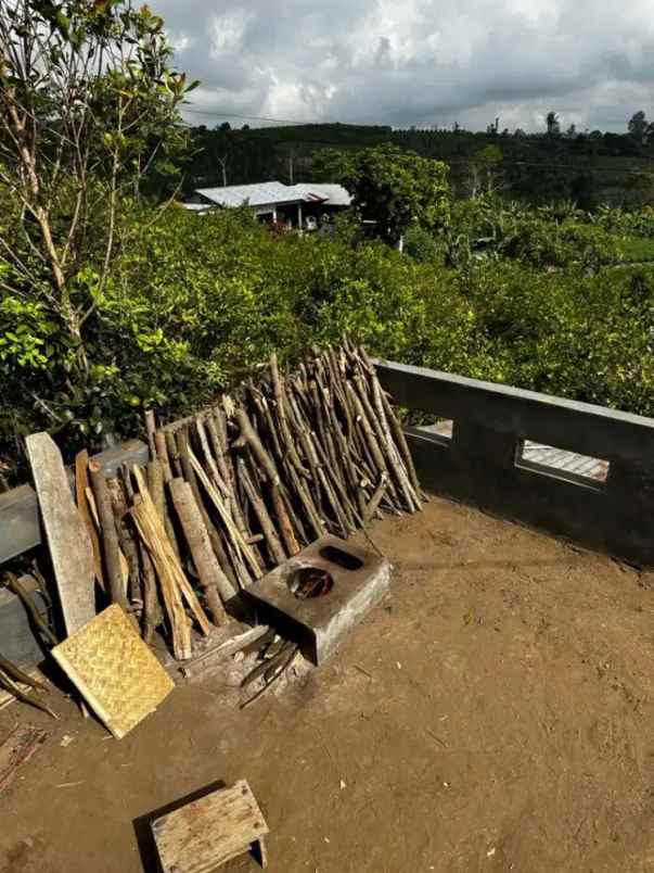 jual tanah kebun sangat bagus di kintamani bangli bali