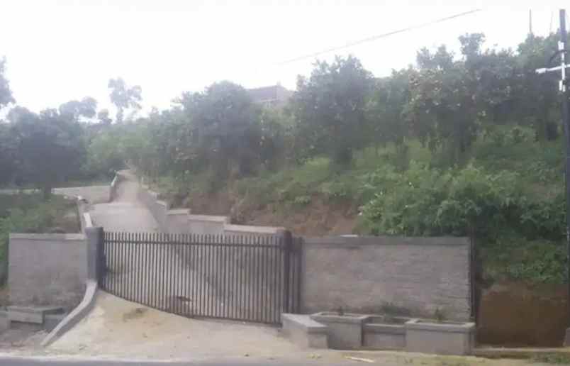 jual tanah kebun sangat bagus di kintamani bangli bali