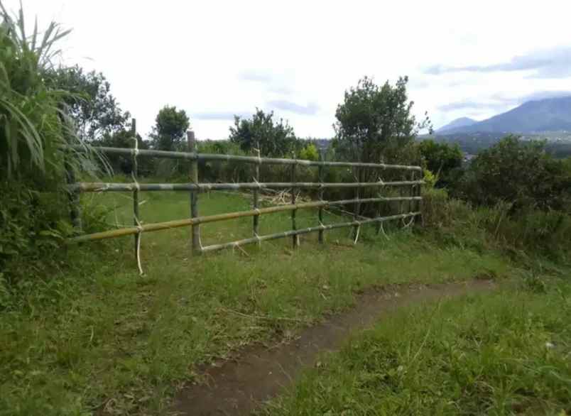 jual tanah kebun sangat bagus di kintamani bangli bali