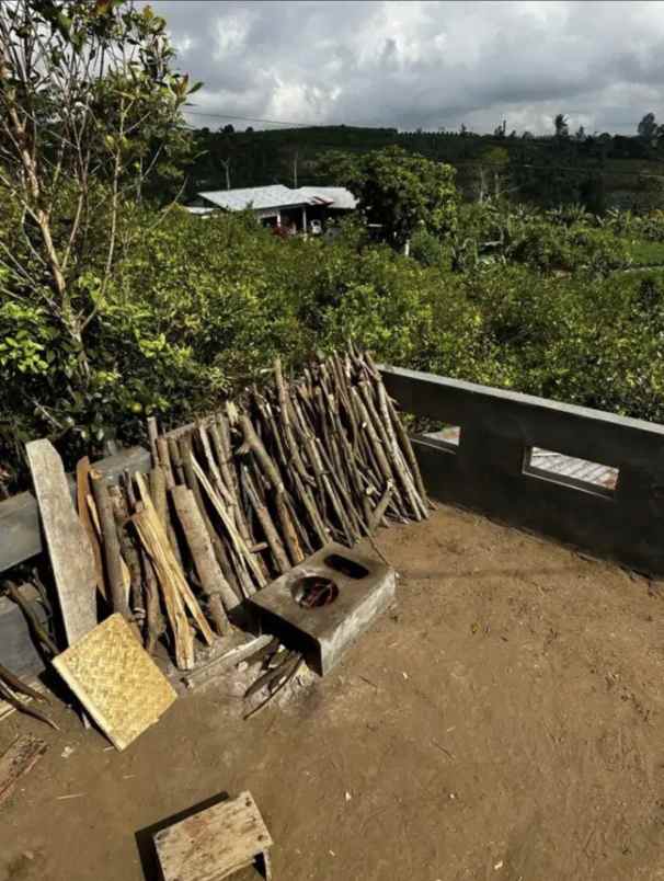 jual tanah kebun sangat bagus di kintamani bangli bali