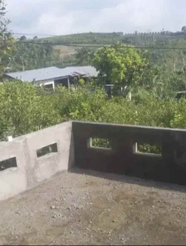 jual tanah kebun sangat bagus di kintamani bangli bali