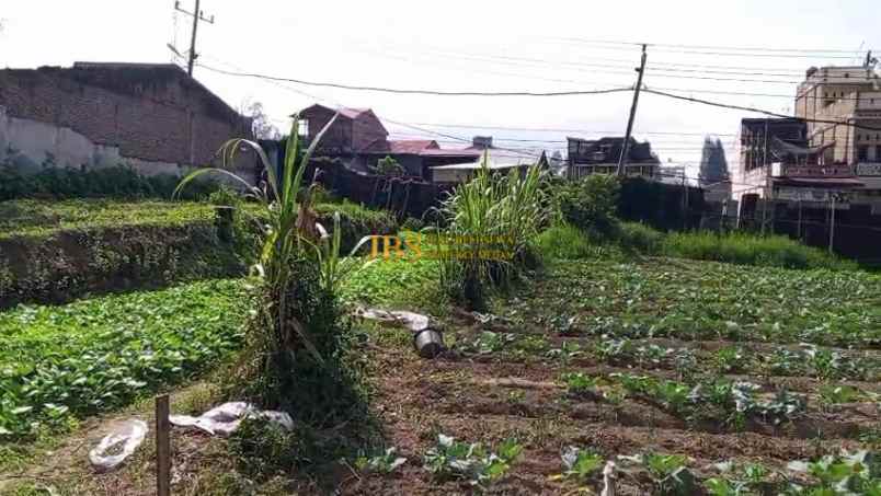 jual tanah kosong daerah berastagi sempajaya kab karo