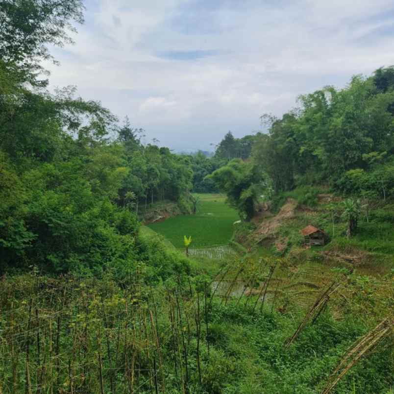 jual tanah paling murah di ciwidey bandung