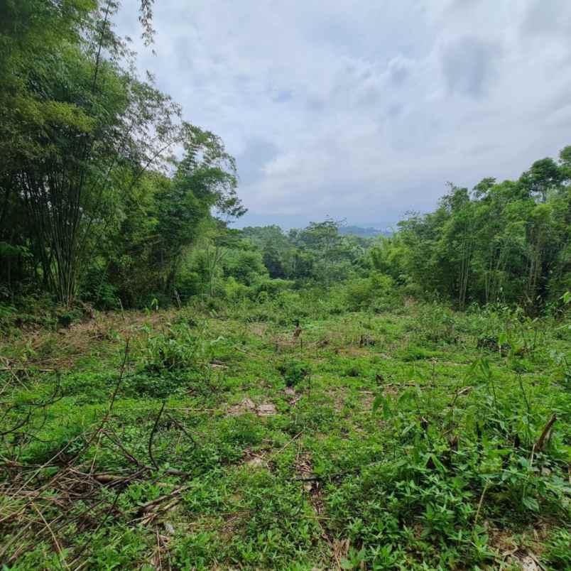 jual tanah paling murah di ciwidey bandung