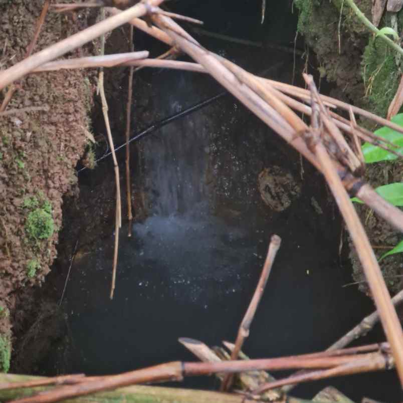 jual tanah paling murah di ciwidey bandung