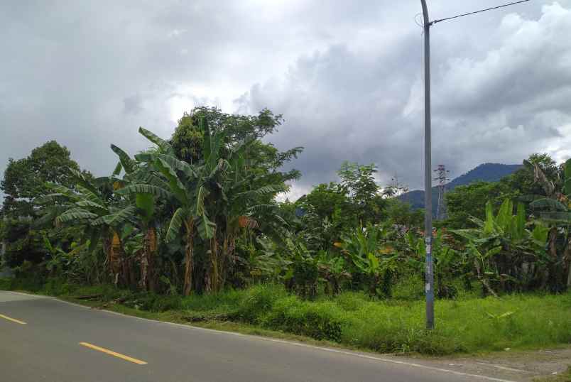 Jual Tanah Strategis Pinggirnempel Jalan Raya Utamaprovinsi