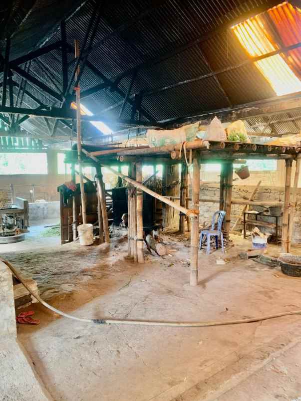 kandang peternakan lokasi ampel boyolali strategis
