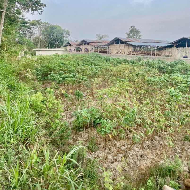 ruko tanah blkgnya 2 menit ke jl semarang surakarta