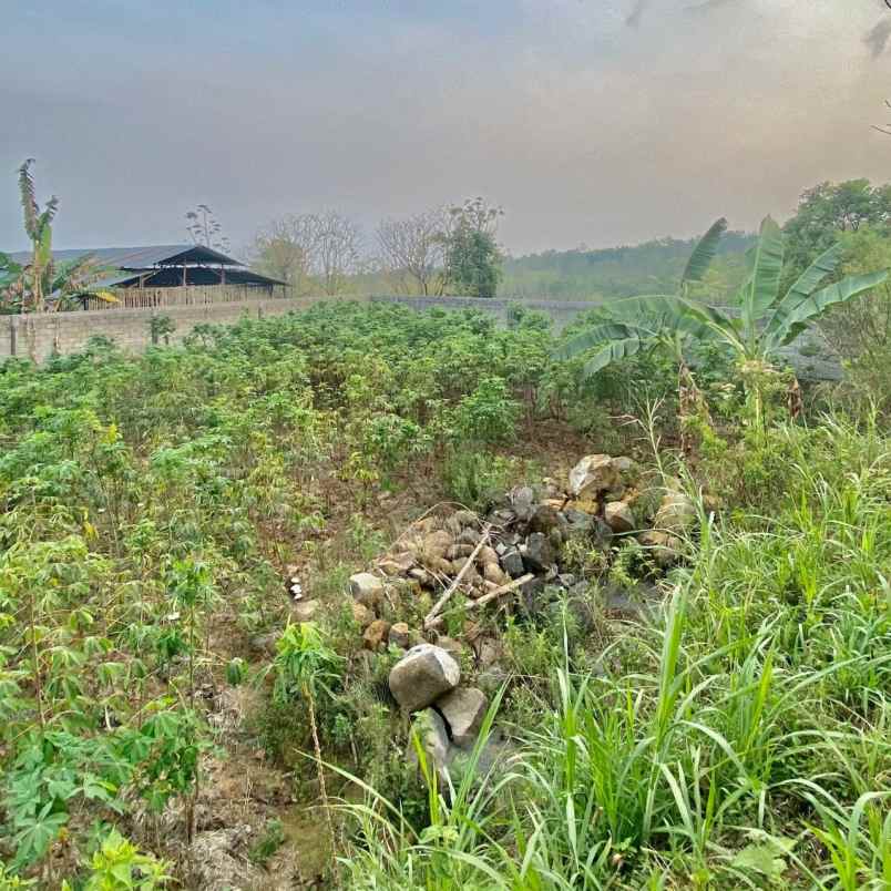 ruko tanah blkgnya 2 menit ke jl semarang surakarta
