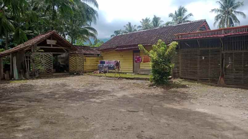 rumah dan tanah luas 5200m di wiyono gedong tataan