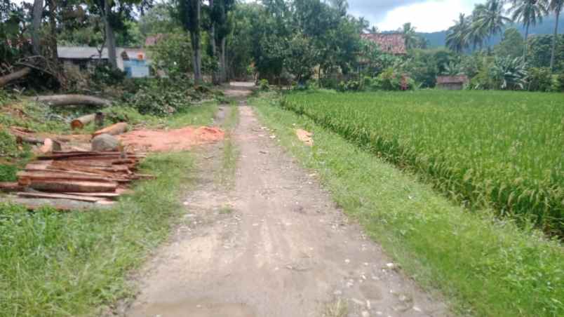 rumah dan tanah luas 5200m di wiyono gedong tataan