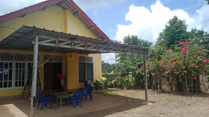 rumah dan tanah luas 5200m di wiyono gedong tataan